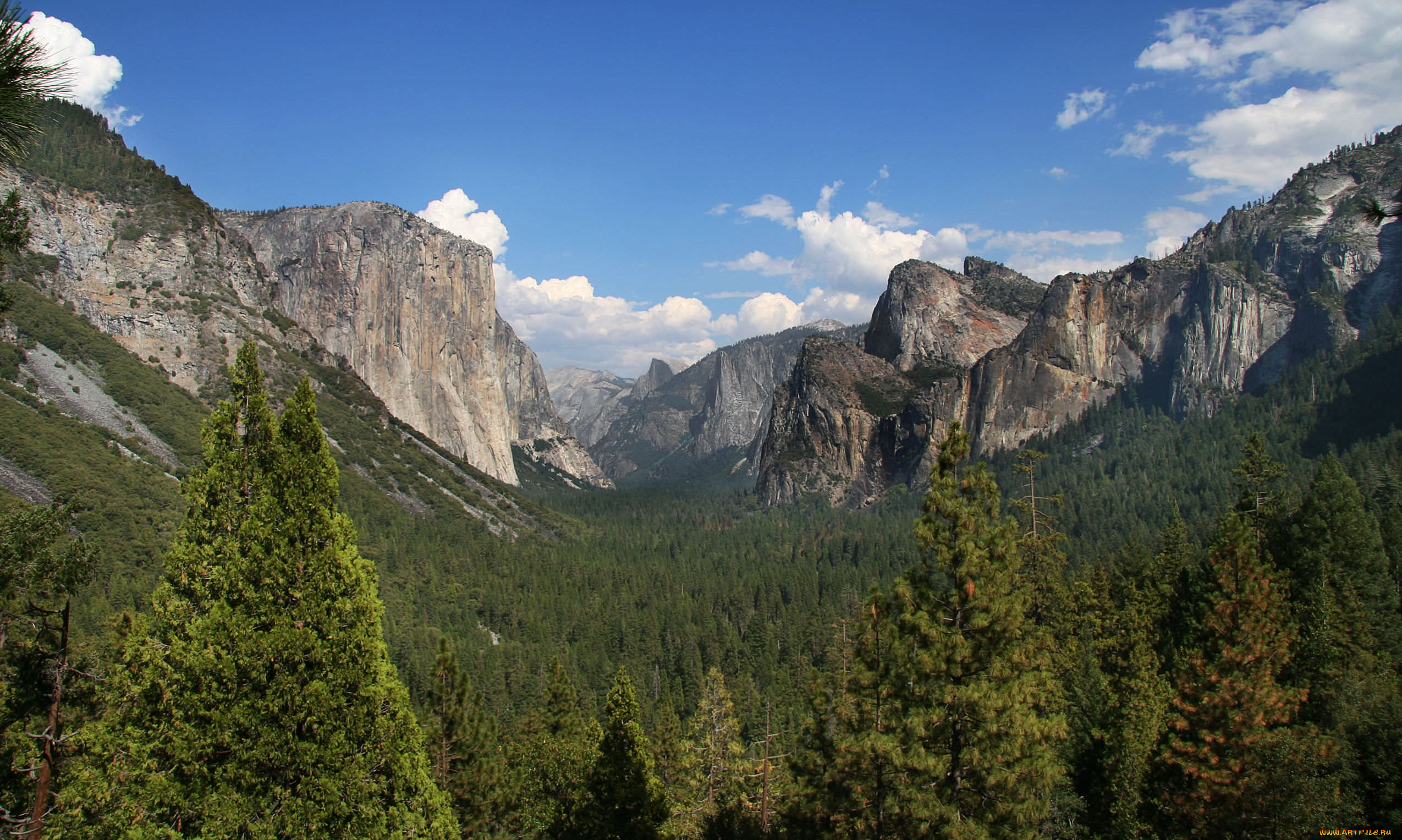 sequoia national park, , , , sequoia, , , park, national